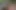 Une petite fille fait connaissance avec une oie en lui caressant la tête.